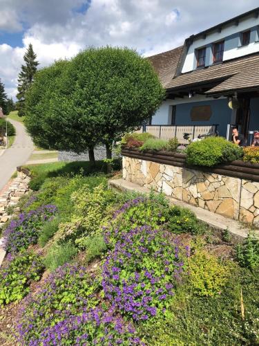 a garden with purple flowers in front of a house at Apartmán Hájenka - Makov in Makov