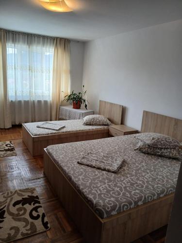 a bedroom with two beds and a window at Apartament cu 2 camere in Călimăneşti