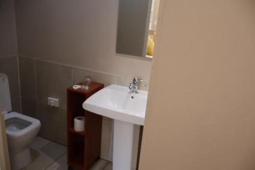 a bathroom with a sink and a toilet at Lakeview Boutique Hotel & Conference Center in Benoni