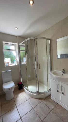 a bathroom with a shower and a toilet and a sink at Swallows Retreat in Fordingbridge