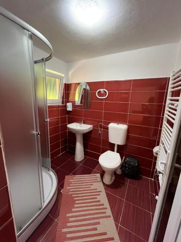 a bathroom with a toilet and a sink and a shower at Apuseni Escape in Gîrda de Sus