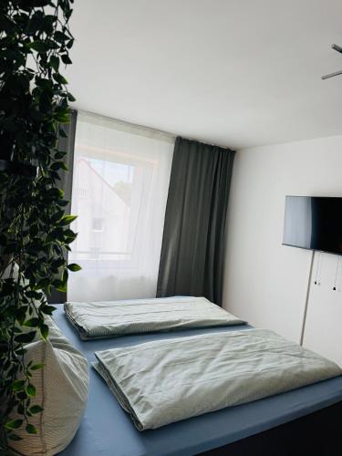 a bedroom with two beds and a potted plant at Zentraler Moment in Chemnitz