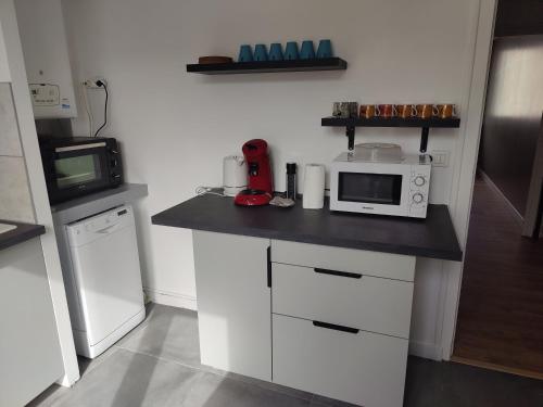 a kitchen with a counter with a microwave and a refrigerator at T4 coeur de ville, à deux pas de la plage - 3 chambres in Saint-Nazaire
