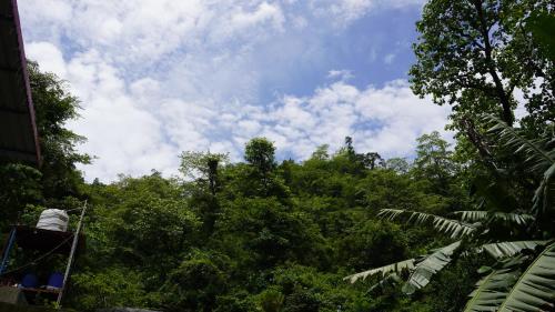 a view of a forest of trees with a cloudy sky at Hari Om Guest House in Narendranagar