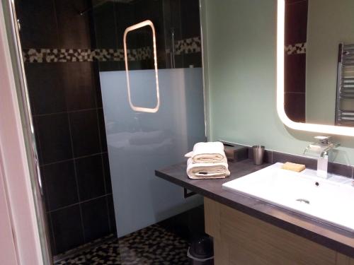 a bathroom with a sink and a shower with a mirror at Villa du Chateau in Nice