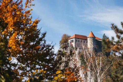 a castle on top of a hill with trees at Slovenian Green Apartment in Radovljica