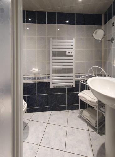 a bathroom with a sink and a toilet at Bergerie du Château - Lacapelle Marival in Lacapelle-Marival