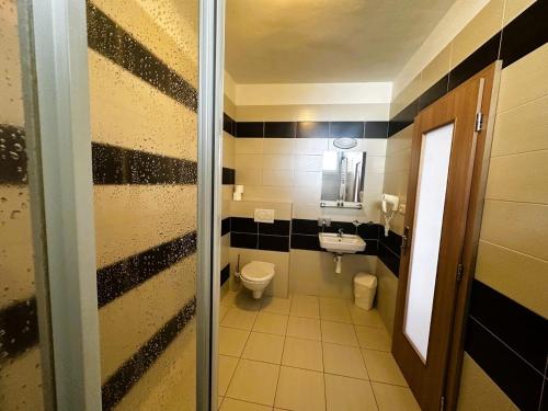 a bathroom with a toilet and a sink at Hotel Opera in Jaroměřice na Rokytné