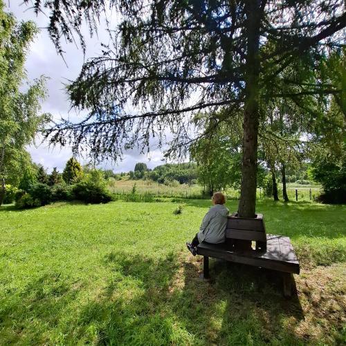 a person sitting on a bench under a tree at Apartamenty TUTERRA III in Zabagnie