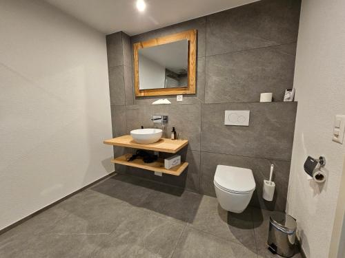 a bathroom with a sink and a toilet at Typically Swiss Hotel Ermitage in Kandersteg
