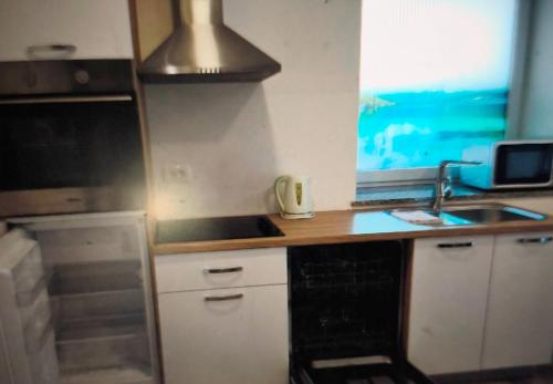 a small kitchen with a sink and a stove at Slovenian Green Apartment in Radovljica