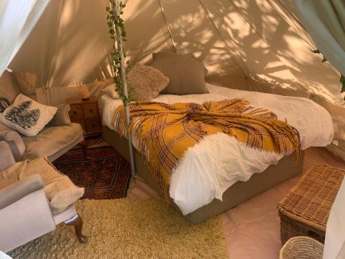 SaltdeanにあるPlum Tree Glamping near Brightonのギャラリーの写真