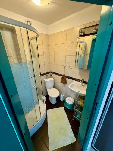 a bathroom with a shower and a toilet and a sink at U Gosa in Ustronie Morskie