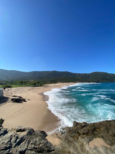 a view of a beach with rocks and the ocean at Villa les Palmiers in Calcatoggio