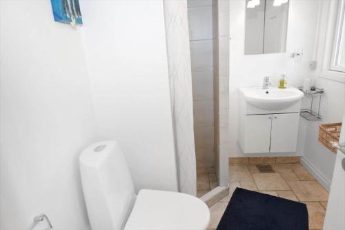 Un baño con un inodoro blanco y un lavabo. en 746-Thisted-Blamunkevej-36, en Thisted
