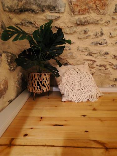 a plant in a vase sitting on a wooden floor at Mesta Diamond in Mesta