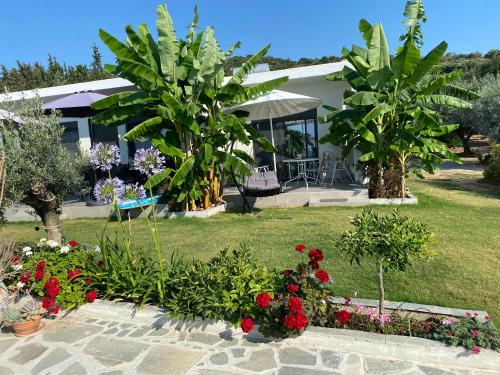 a house with a garden with flowers and plants at Azzure Heaven in Loutrá Elevtherón