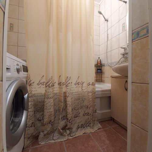 un bagno con una tenda da doccia accanto a una lavatrice di Quiet House a Liepāja
