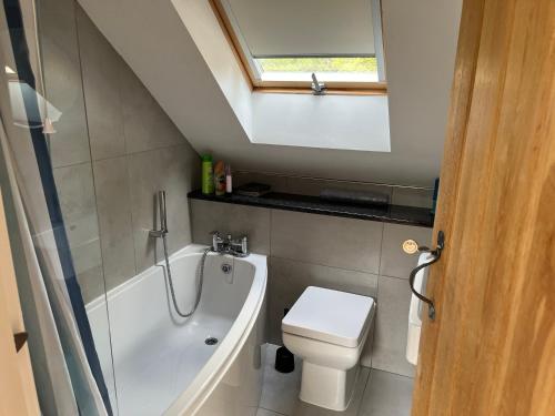 a bathroom with a toilet and a tub and a sink at Maes Y Grove Garden Cottage in Llanddarog