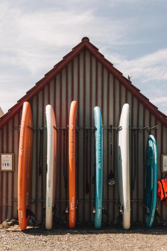 a bunch of surfboards are lined up against a building at SeeHotel Amtshof in Langenargen