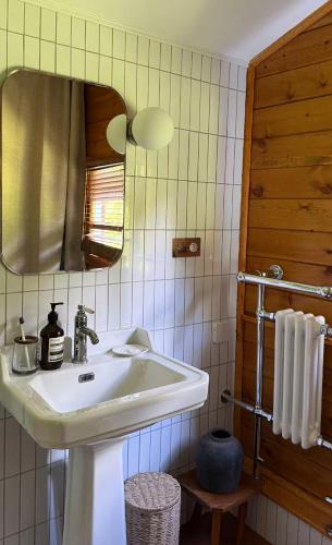 Koupelna v ubytování Chalet en bord d'étang