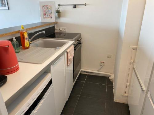a kitchen with a sink and a dishwasher at Vue Panoramique VÉLODROME in Marseille
