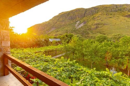 a view of a vineyard with a mountain in the background at Valodia's Cottage in Vardzia