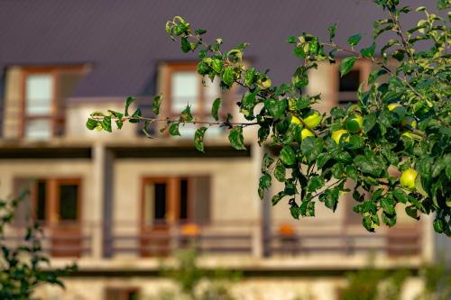 a branch of a lemon tree in front of a house at Valodia's Cottage in Vardzia