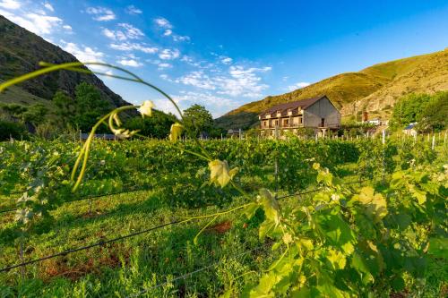 a field of crops with a house in the background at Valodia's Cottage in Vardzia