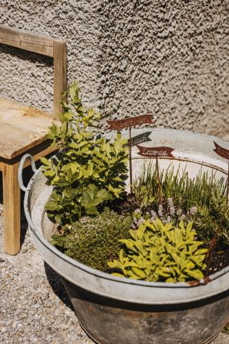 a planter with plants in it next to a bench at Arlberg Lodges in Stuben am Arlberg