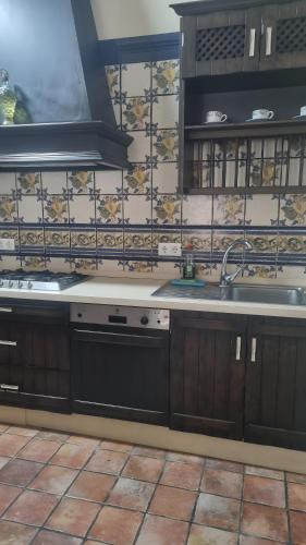 eine Küche mit Spüle und Arbeitsplatte in der Unterkunft Casa Rural Valle in La Puebla de los Infantes