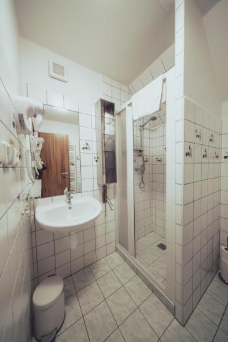 a bathroom with a sink and a shower and a toilet at Hotel Hospodářský dvůr Bohuslavice in Telč