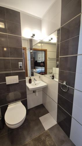 a bathroom with a toilet and a sink and a mirror at Noclegi Tyczyn in Tyczyn