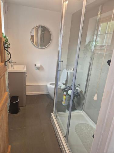 a bathroom with a shower and a toilet at Lime Kiln Quay Cottage in Woodbridge