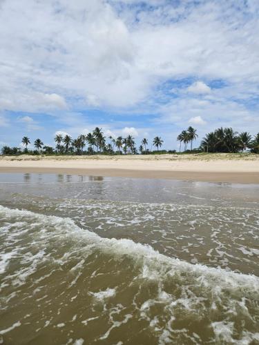 a view of a beach with palm trees in the background at Apartamento à beira-mar: ideal para famílias . in Ilhéus