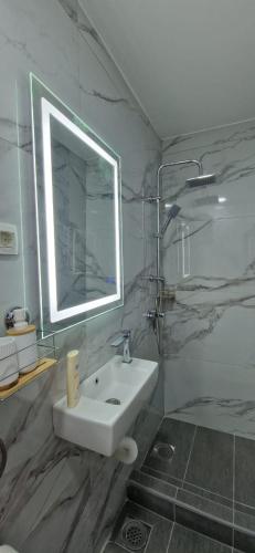 a bathroom with a sink and a mirror and a shower at Mare e Luna in Lastva