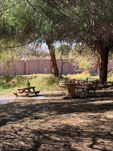 a person sitting at two picnic tables in a park at Casa Luna in San Pedro de Atacama