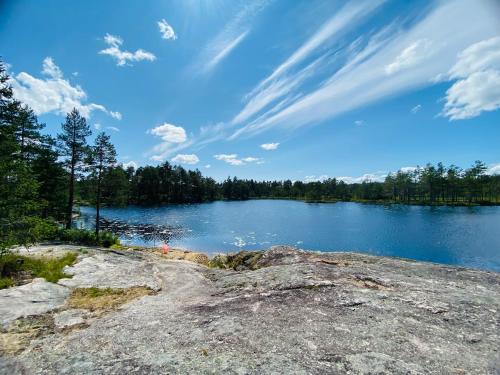 a view of a lake with trees in the background at Fredelig og landlig lavvoferie in Møkjåland