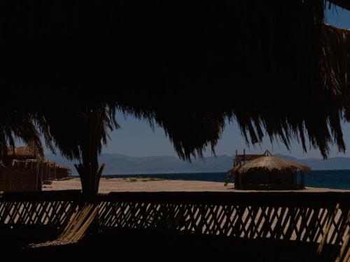 a beach with a tent and a tree and the ocean at Natural Lodge in Dahab