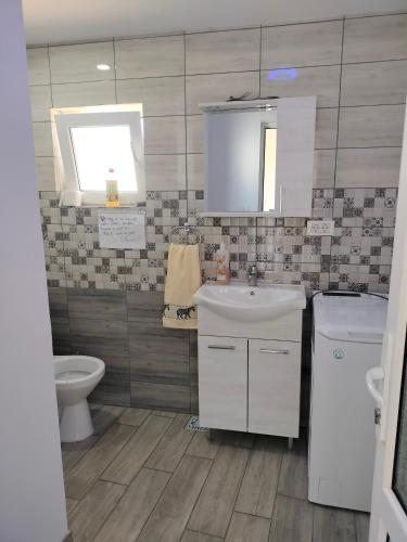a bathroom with a sink and a toilet at Casa Savu Secaria in Secăria