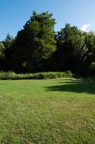 a large field of grass with trees in the background at Plitvice Inn in Jezerce