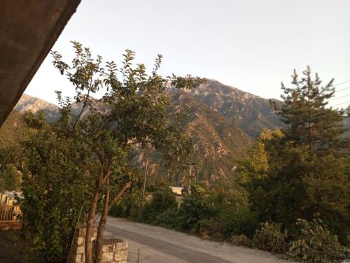 a road with trees and a mountain in the background at Villa Rozalia in Konitsa