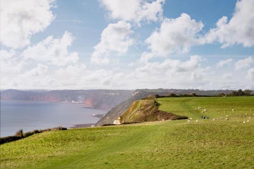 a green field with a view of a body of water at Withycombe in Seaton