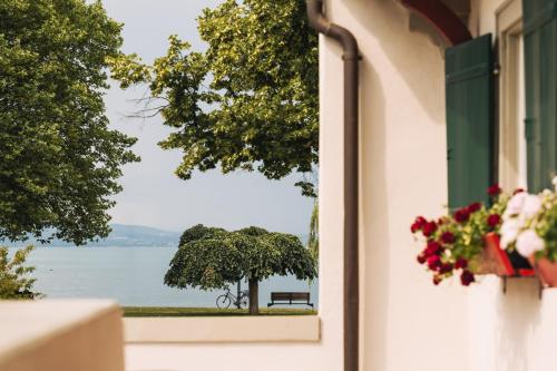 a window with a view of a tree and a bench at SeeHotel Amtshof in Langenargen