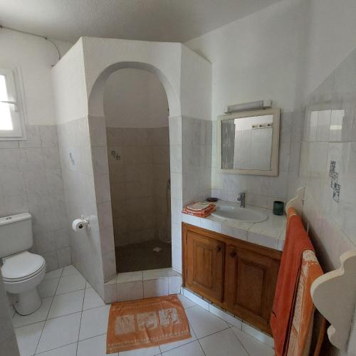 a bathroom with a shower and a sink and a toilet at Villa Type Africaine in Saly Portudal