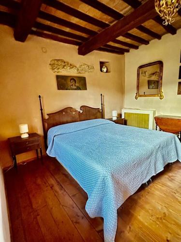 a bedroom with a bed with a blue comforter at B&B Il Casale Del Ginepro in Migliano