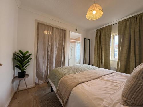 a bedroom with a bed and a potted plant at Serenity Lodge, Riverside with Free Parking in Christchurch