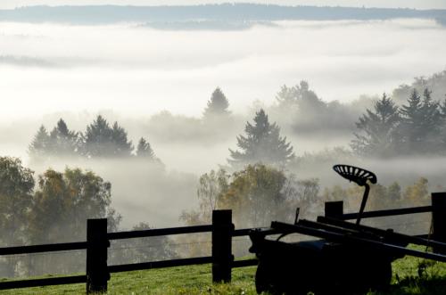a fence with a view of a foggy field and trees at La Babillarde in Auby-sur-Semois