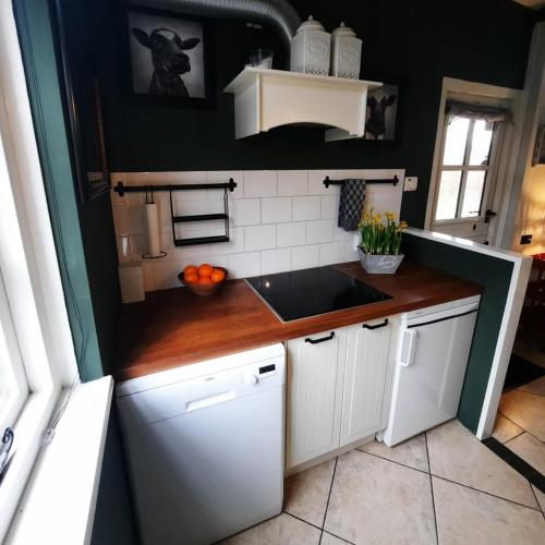 a kitchen with a sink and a counter top at Bungalow de Mees in Schoonloo