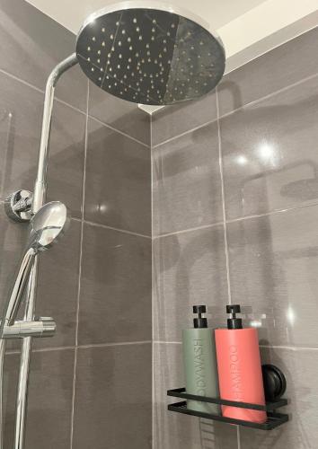 a bathroom with a shower with two bottles on a shelf at Maison Menadel in Yvetot